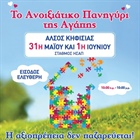 ΑΝΟΙΞΙΑΤΙΚΟ ΠΑΝΗΓΥΡΙ ΤΗΣ ΑΓΑΠΗΣ - 2014